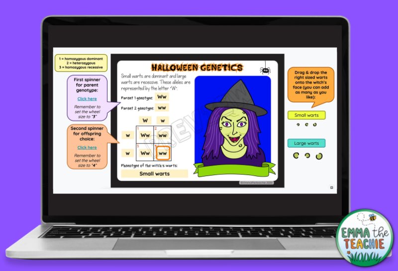 Purple background with a computer showing one of the spin-a-genotype slides to create a witch of the Halloween Genetics Google Slides resource.