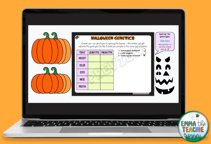 Orange background with a laptop showing the create-a-pumpkin activity of the Halloween Genetics Google Slides resource, where students use an online spinner to produce genotypes.