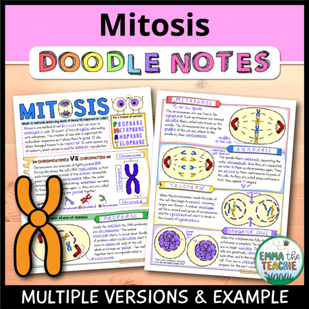 Thumbnail for Mitosis Doodle Notes showing two pages of completed doodle notes on a wooden background with an image of a chromosome on top.