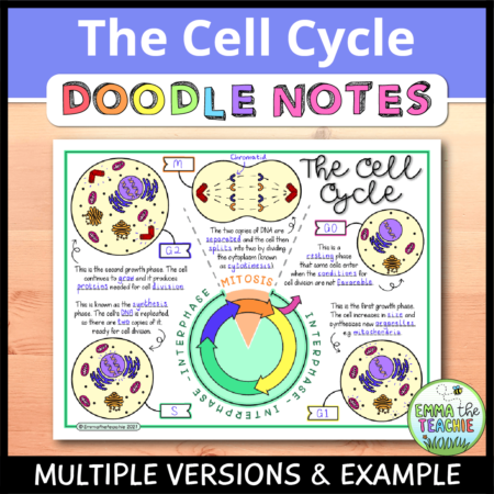 Cover image showing a completed page of the doodle notes against a wood background. The title text reads, “The Cell Cycle Doodle Notes” and text on the bottom reads, “Multiple versions & example”