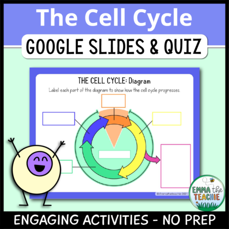 Cover image showing two sample slides and clipart of a cell. The title text reads, “The Cell Cycle Google Slides and Quiz” and text on the bottom reads, “Engaging activities - no prep”