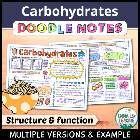 Cover image showing completed pages of the doodle notes against a wood background. The title text reads, “Carbohydrates Doodle Notes” and text on the bottom reads, “Multiple versions & example”