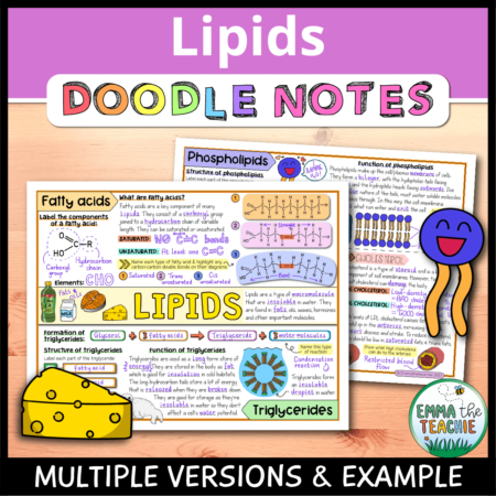 Cover image showing completed pages of the doodle notes against a wood background. The title text reads, “Lipids Doodle Notes” and text on the bottom reads, “Multiple versions & example”.