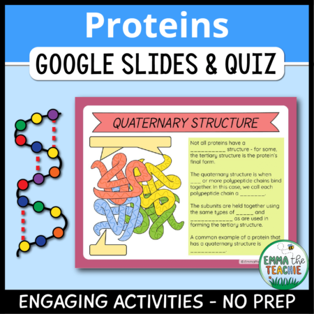 Cover image showing a sample slide and a picture of a protein. The title text reads, “Proteins Google Slides and Quiz” and text on the bottom reads, “Engaging activities - no prep”.