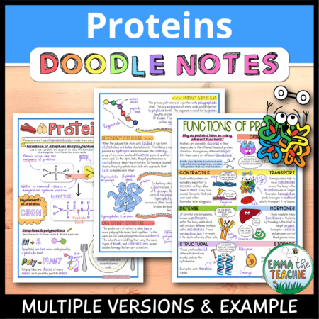 Cover image showing completed pages of the doodle notes against a wood background. The title text reads, “Proteins Doodle Notes” and text on the bottom reads, “Multiple versions & example”.