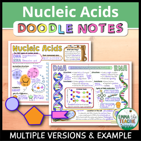 Cover image showing completed pages of the doodle notes against a wood background. The title text reads, “Nucleic Acids Doodle Notes” and text on the bottom reads, “Multiple versions & example”.