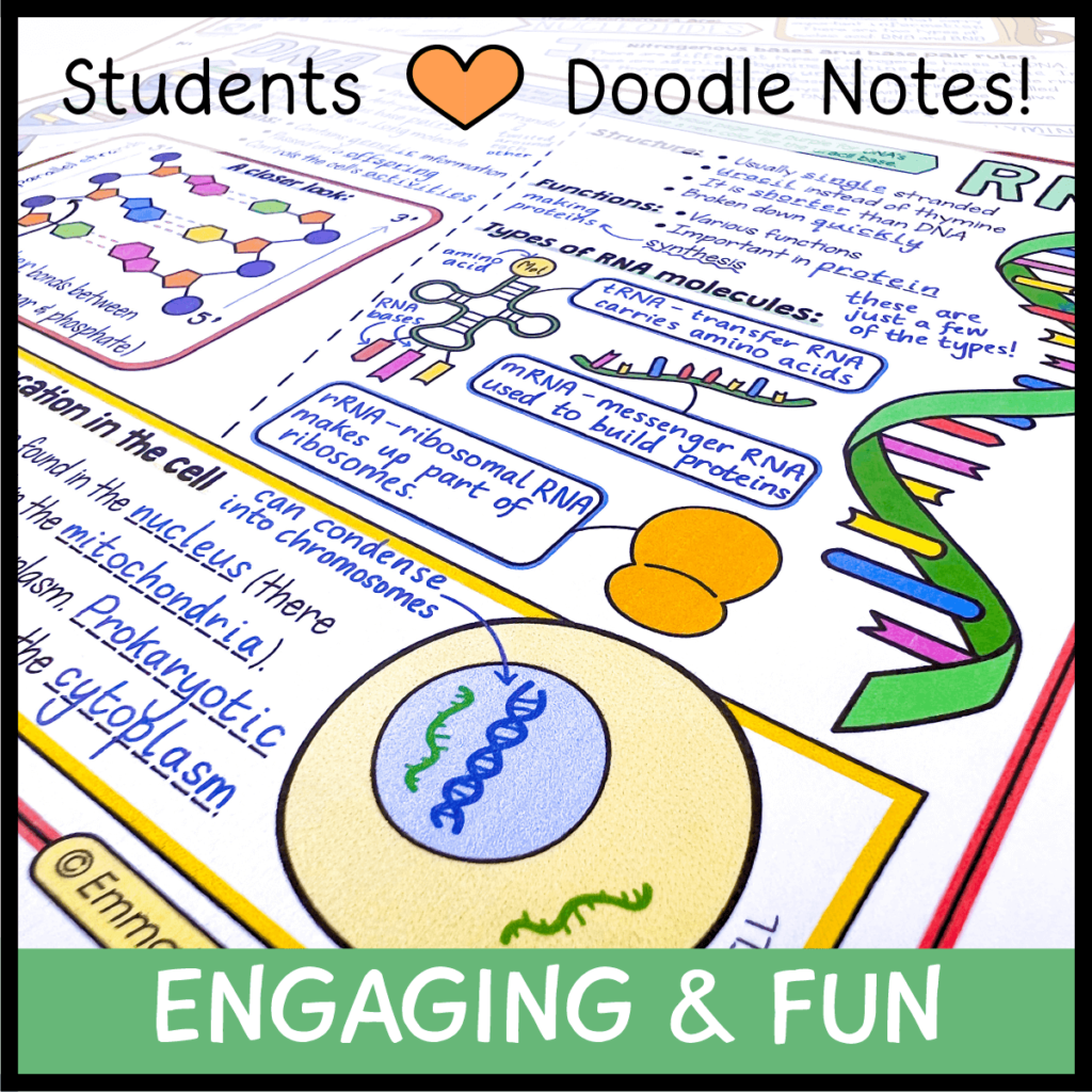 Nucleic Acids Doodle Notes Emmatheteachie