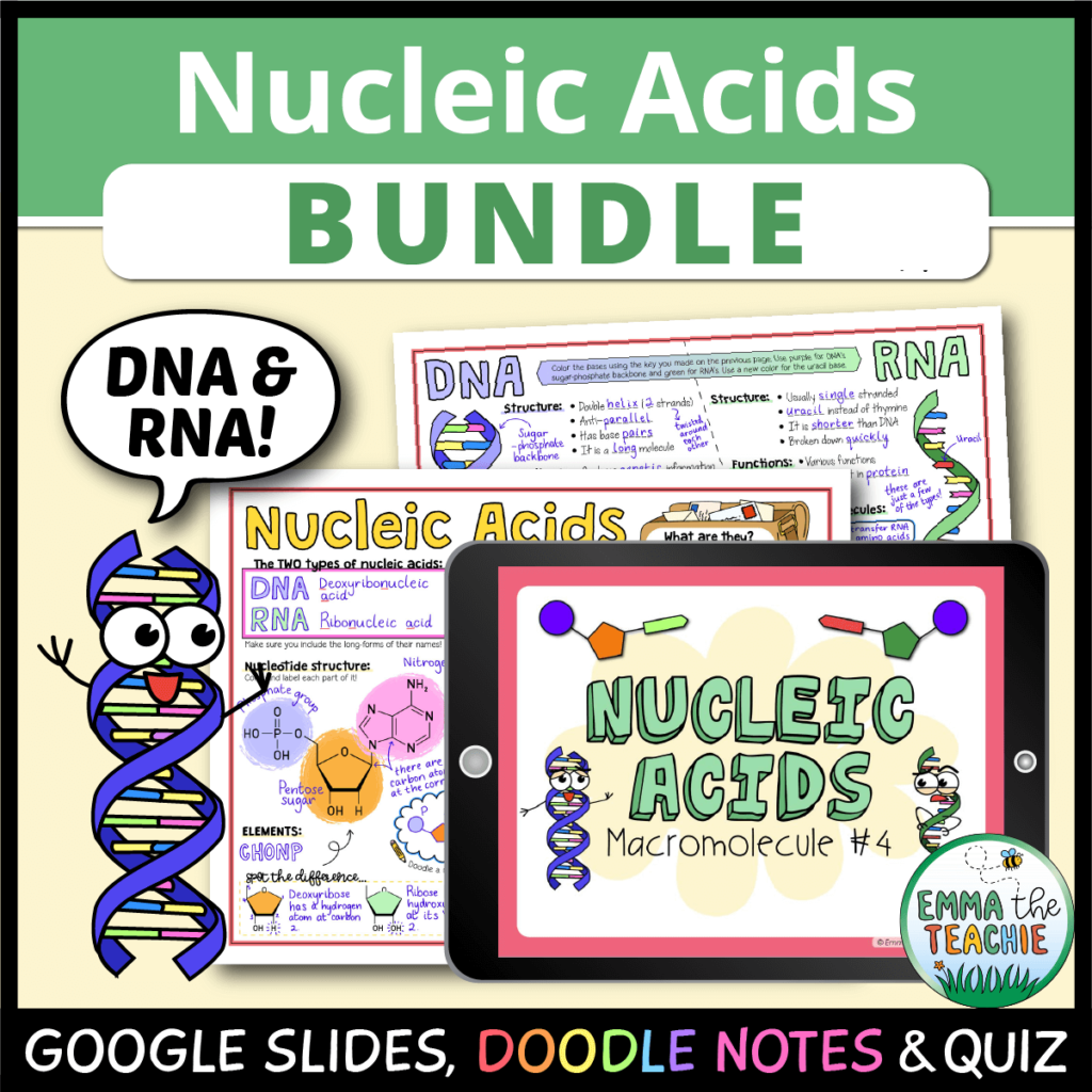 Nucleic Acids Bundle Emmatheteachie
