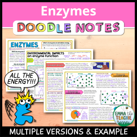 Cover image showing completed pages of the doodle notes against a wood background. The title text reads, “Enzymes Doodle Notes” and text on the bottom reads, “Multiple versions & example”.