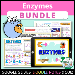 Enzymes Doodle Notes - Emmatheteachie