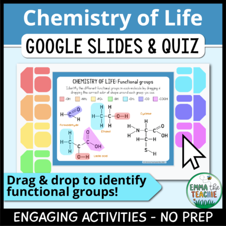 Cover image showing a sample slide of a functional groups activity. The title text reads, “Chemistry of Life Google Slides and Quiz” and text on the bottom reads, “Engaging activities - no prep”. An arrow of text reads, "Drag & drop to identify functional groups!"