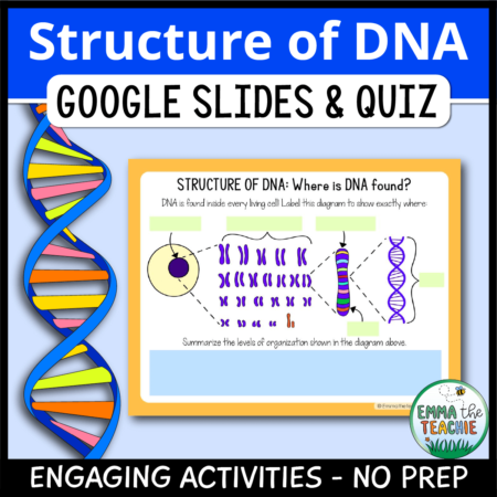 Cover image showing a sample slide and a picture of DNA. The title text reads, “Structure of DNA Google Slides and Quiz” and text on the bottom reads, “Engaging activities - no prep”.