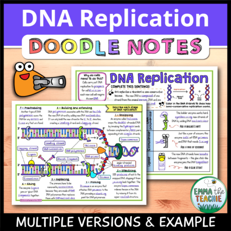 Cover image showing completed pages of the doodle notes against a wood background. The text reads, “DNA Replication Doodle Notes” and text on the bottom reads, “Multiple versions & example”.