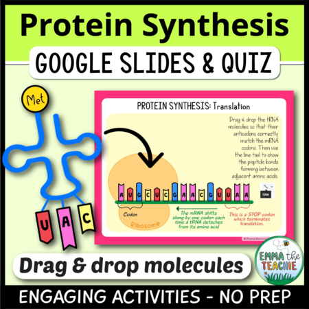 Cover image showing a sample slides and a picture of a tRNA molecule. The title text reads, “Protein Synthesis Google Slides and Quiz” and text on the bottom reads, “Engaging activities - no prep”.