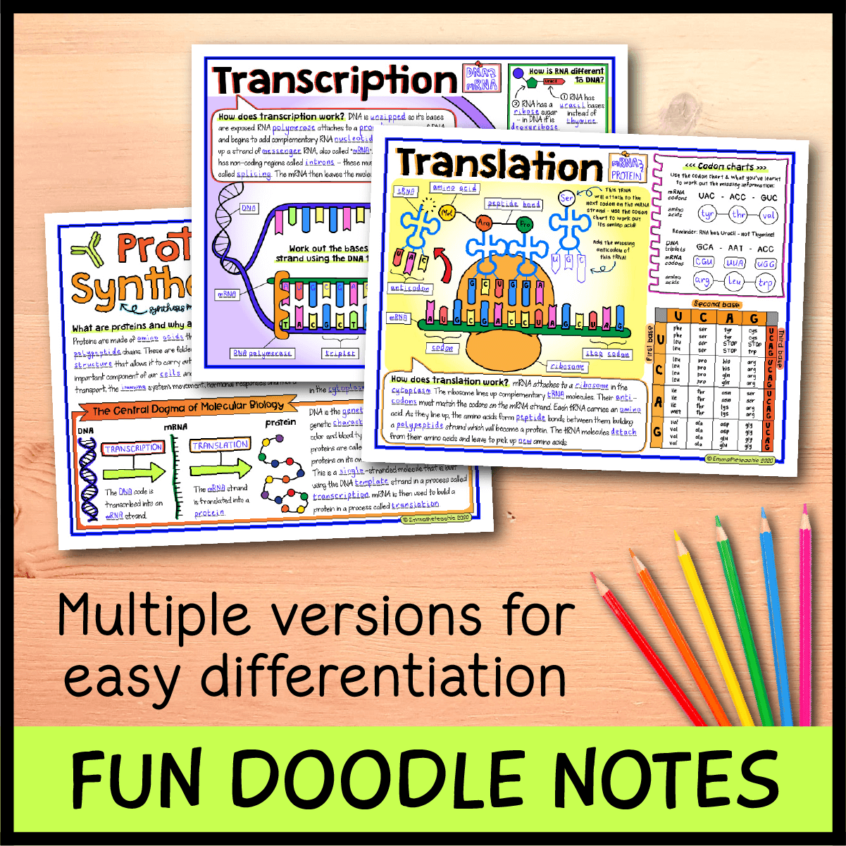 Protein Synthesis Bundle Emmatheteachie