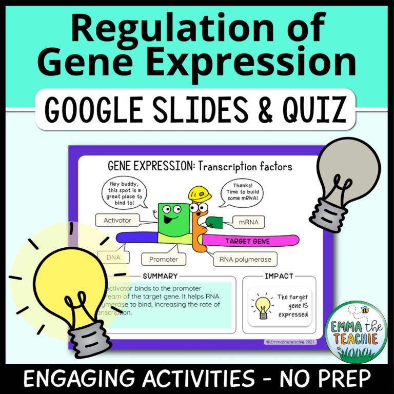 Regulation of Gene Expression Google Slides Emmatheteachie