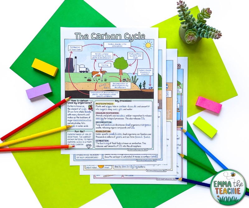 Overhead image showing a set of Doodle Notes about the Carbon Cycle. There are green papers behind the notes and colored pencils in the image.