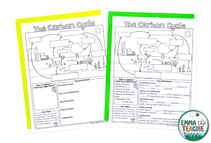 Image of blank note pages about the Carbon Cycle. The pages are on top of yellow and green paper.