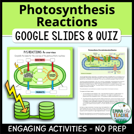 Cover image showing a sample slides and an information sheet. The title text reads, “Photosynthesis Reactions Google Slides and Quiz” and text on the bottom reads, “Engaging activities - no prep”.