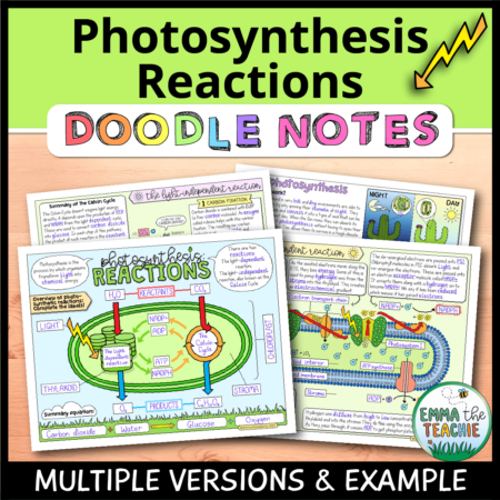 Cover image showing completed pages of the doodle notes against a wooden background. The title text reads, “Photosynthesis Reactions Doodle Notes” and text on the bottom reads, “Multiple versions & example”.