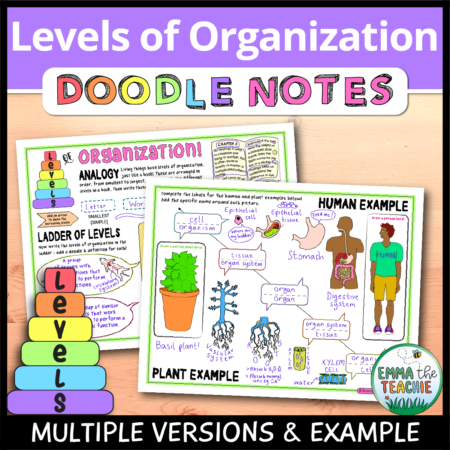 Cover image showing completed pages of the doodle notes against a wooden background. The title text reads, “Title Doodle Notes” and text on the bottom reads, “Multiple versions & example”.