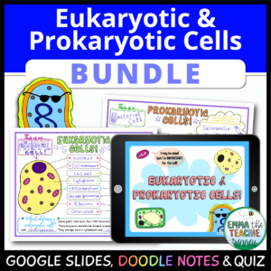 Eukaryotic and Prokaryotic Cells Doodle Notes - Emmatheteachie