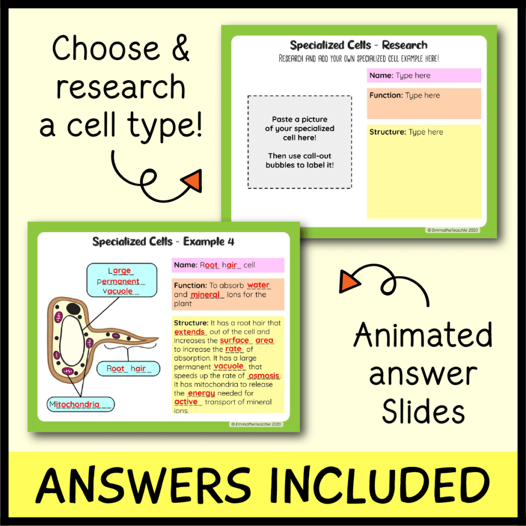 Specialized Cells Google Slides Emmatheteachie