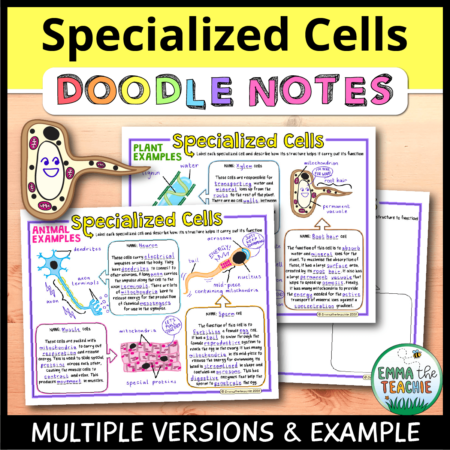 Cover image showing completed pages of the doodle notes against a wooden background. The title text reads, “Specialized Cells Doodle Notes” and text on the bottom reads, “Multiple versions & example”.