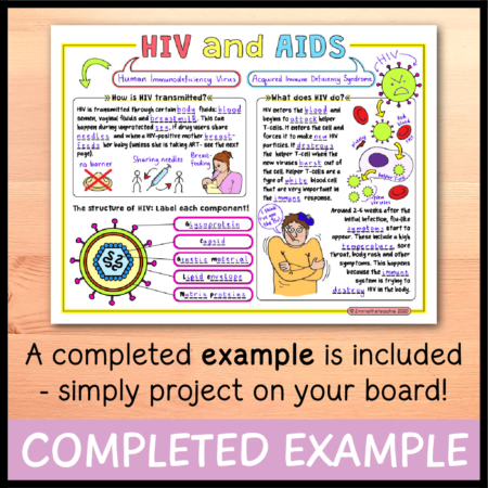 HIV and AIDS Doodle Notes - Emmatheteachie