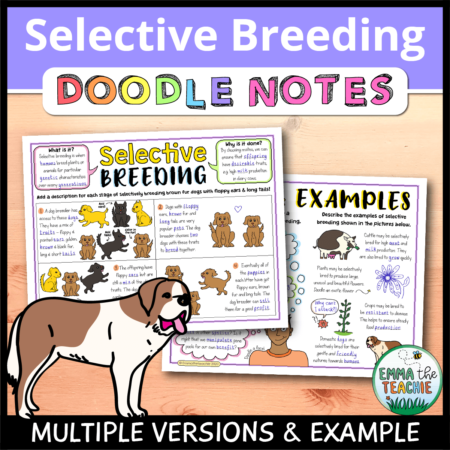 Cover image showing completed pages of the doodle notes against a wooden background. The title text reads, “Selective Breeding Doodle Notes” and text on the bottom reads, “Multiple versions & example”.