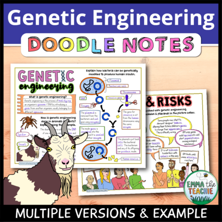 Cover image showing completed pages of the doodle notes against a wooden background. The title text reads, “Genetic Engineering Doodle Notes” and text on the bottom reads, “Multiple versions & example”.