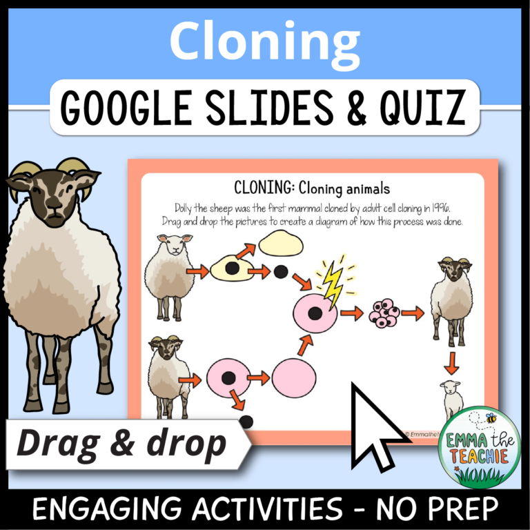 Cloning Google Slides Emmatheteachie Resources for Teachers