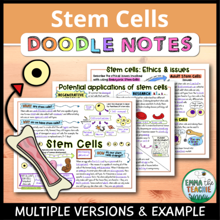 Cover image showing completed pages of the doodle notes against a wooden background. The title text reads, “Stem Cells Doodle Notes” and text on the bottom reads, “Multiple versions & example”.