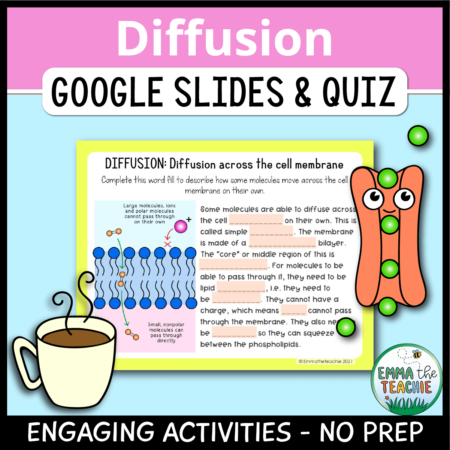 Cover image showing a sample slide and pictures of a channel protein and a cup of coffee. The title text reads, “Diffusion Google Slides and Quiz” and text on the bottom reads, “Engaging activities - no prep”.