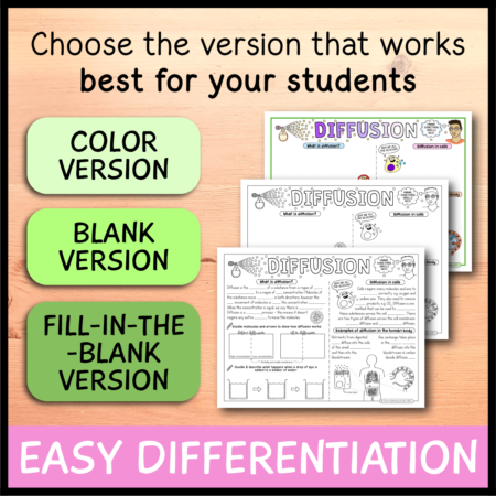 Diffusion Doodle Notes - Emmatheteachie