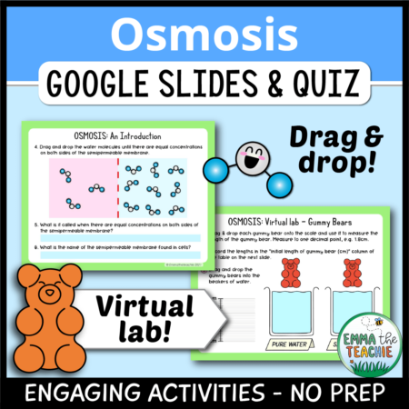 Cover image showing two sample slides and pictures of a water molecule and a gummy bear. The title text reads, “Osmosis Google Slides and Quiz” and text on the bottom reads, “Engaging activities - no prep”. Additional text also reads, "Virtual lab!"