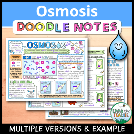 Cover image showing completed pages of the doodle notes against a wooden background, with a picture of a water droplet. The title text reads, “Title Doodle Notes” and text on the bottom reads, “Multiple versions & example”.