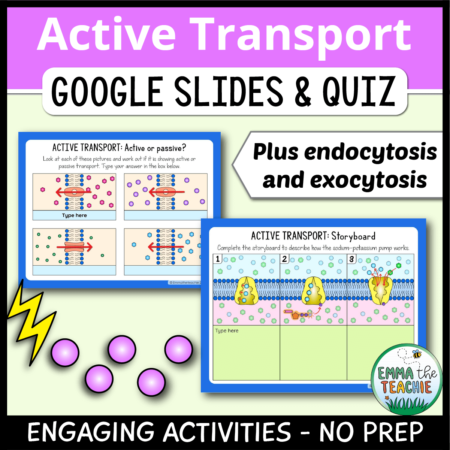 Cover image showing two sample slides and a picture of molecules and a lightning bolt. The title text reads, “Active Transport Google Slides and Quiz” and text on the bottom reads, “Engaging activities - no prep”.