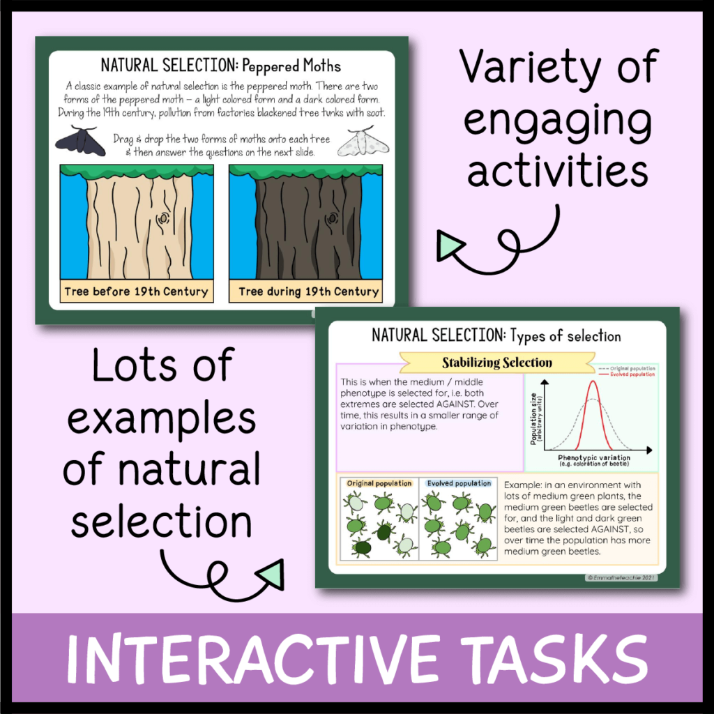Evolution and natural selection google slides emmatheteachie
