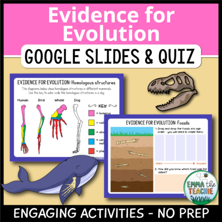 Cover image showing two sample slides and pictures of a whale and a skull. The title text reads, “Evidence for Evolution Google Slides and Quiz” and text on the bottom reads, “Engaging activities - no prep”.