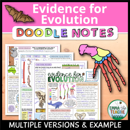 Cover image showing completed pages of the doodle notes against a wooden background. The title text reads, “Evidence for Evolution Doodle Notes” and text on the bottom reads, “Multiple versions & example”.