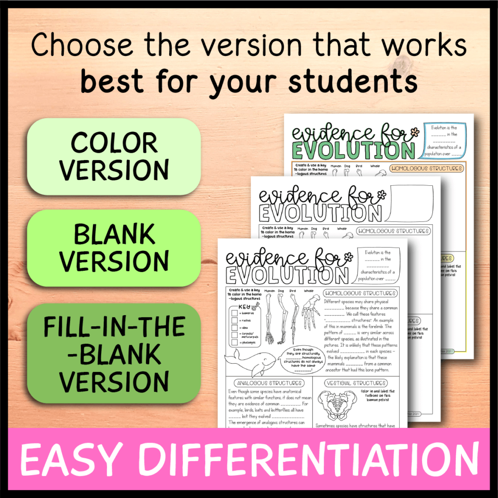 Evidence for Evolution Doodle Notes - Emmatheteachie
