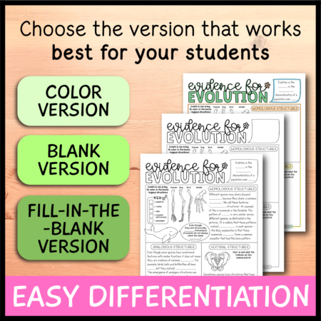 Evidence for Evolution Doodle Notes - Emmatheteachie