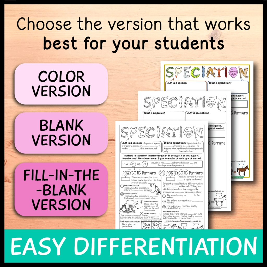 Speciation and Extinction Doodle Notes - Emmatheteachie