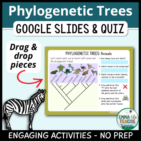 Cover image showing a sample slide and a picture of a zebra, with the text "Drag & drop pieces". The title text reads, “Phylogenetic Trees Google Slides and Quiz” and text on the bottom reads, “Engaging activities - no prep”.