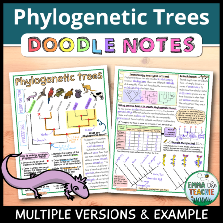 Cover image showing completed pages of the doodle notes against a wooden background. The title text reads, “Phylogenetic Trees Doodle Notes” and text on the bottom reads, “Multiple versions & example”.