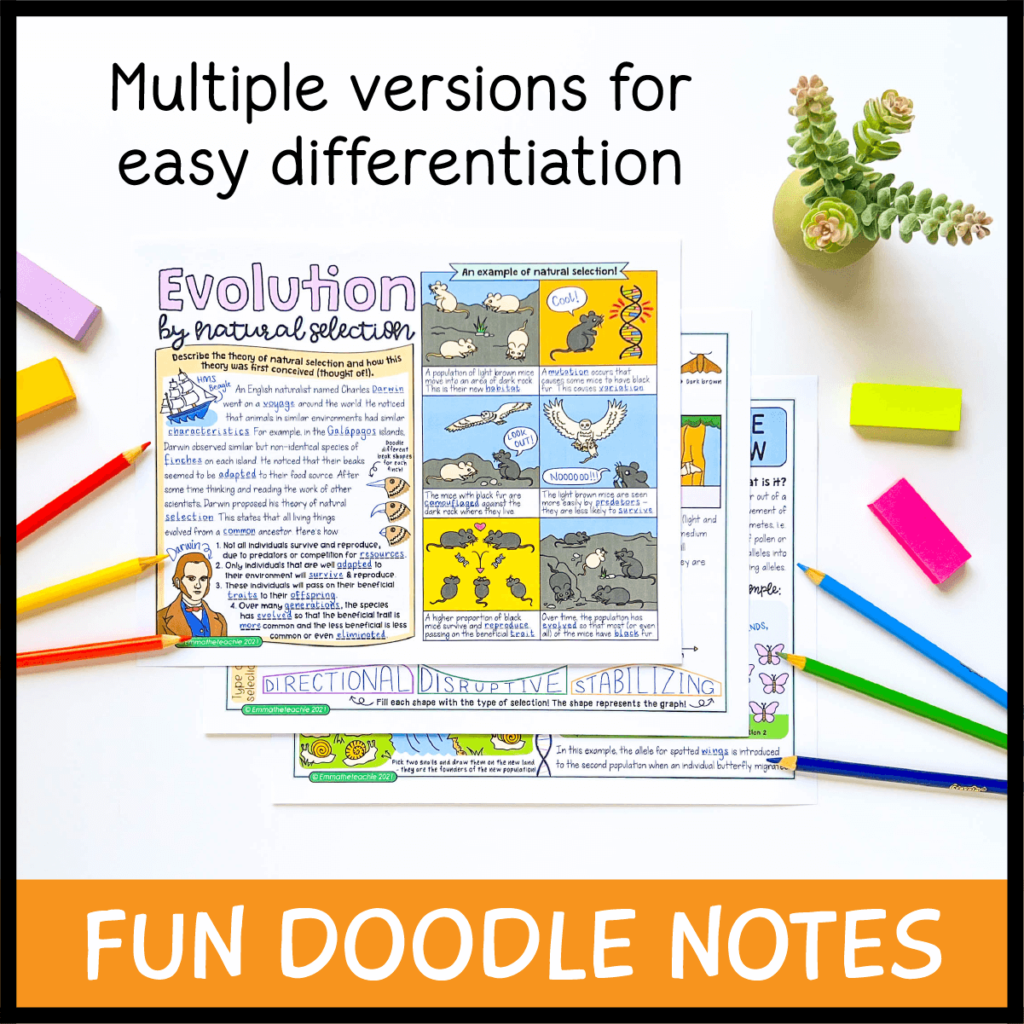 Evolution and Classification Big Unit Bundle - Emmatheteachie