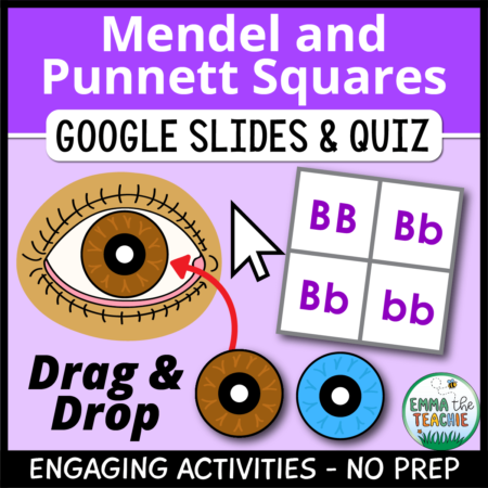 Cover image showing a picture of an eye and two pupils - brown and blue - that are being dragged & dropped into the eye. There is also a Punnett Square and the text, "Drag & Drop". The title text reads, “Mendel and Punnett Squares Google Slides and Quiz” and text on the bottom reads, “Engaging activities - no prep”.