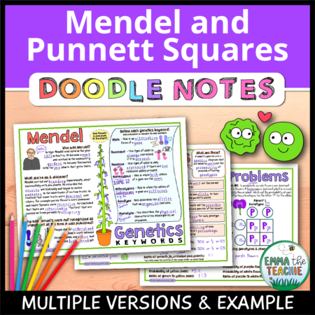 Cover image showing completed pages of the doodle notes against a wooden background. The title text reads, “Mendel and Punnett Square Doodle Notes” and text on the bottom reads, “Multiple versions & example”.