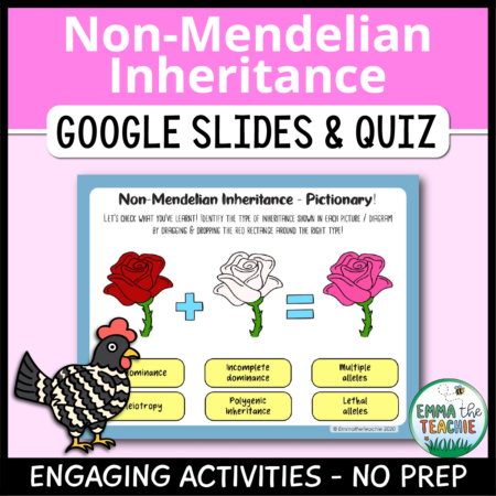 Cover image showing a sample slide and a picture of a chicken showing codominance in feather color. The title text reads, “Non-Mendelian Inheritance Google Slides and Quiz” and text on the bottom reads, “Engaging activities - no prep”.